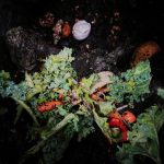 article image - Gardening – Composting